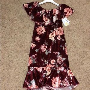 LuLaRoe Velvet CiCi